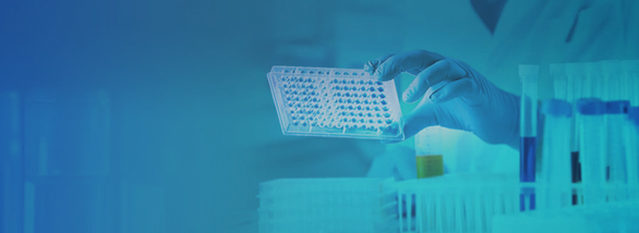 dsRNA ELISA kit