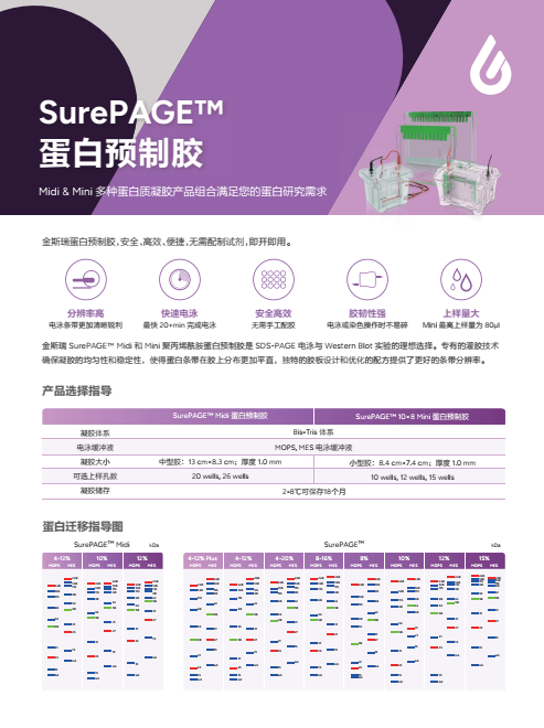 surepage-gels250117