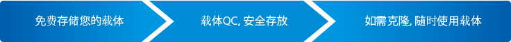 VectorArk服务 VectorArk服务