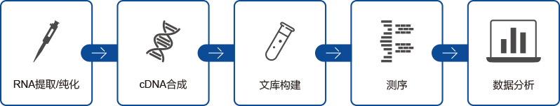 可变区高通量测序 可变区高通量测序