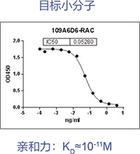 目标小分子