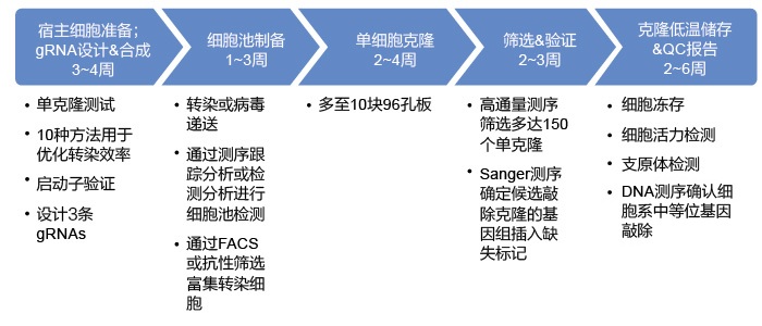 GenCRISPR™ Workflow