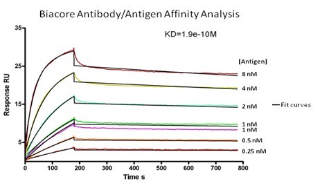 monoexpress antibody