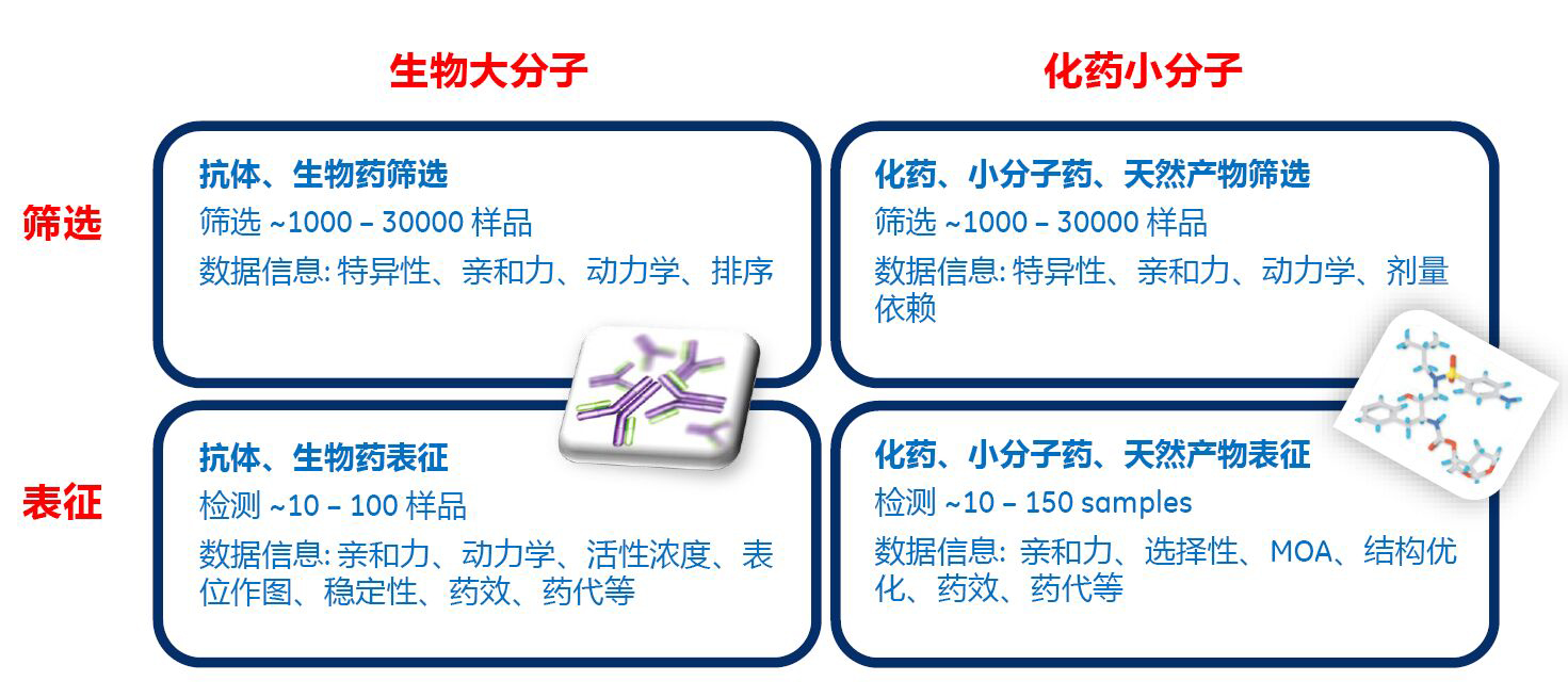 亲和力测定服务