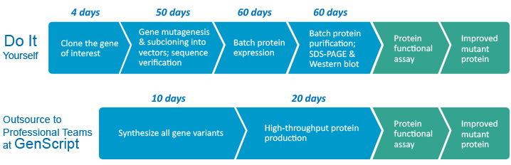 High throughput Protein Variants Service Flowchart