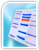 Protein Electrophoresis