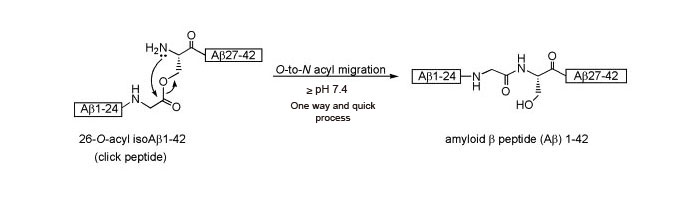 Scheme 2: β-amyloid (1-42) click peptide Result
