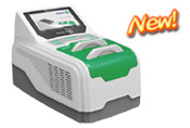 Protein Electrophoresis