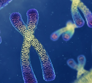 Synthetic Biology