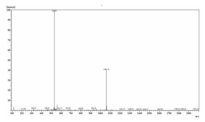 amyloid peptide amyloid peptide