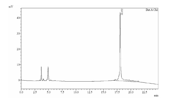 amyloid peptide