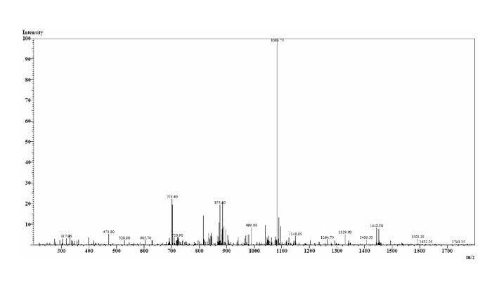 amyloid peptide amyloid peptide