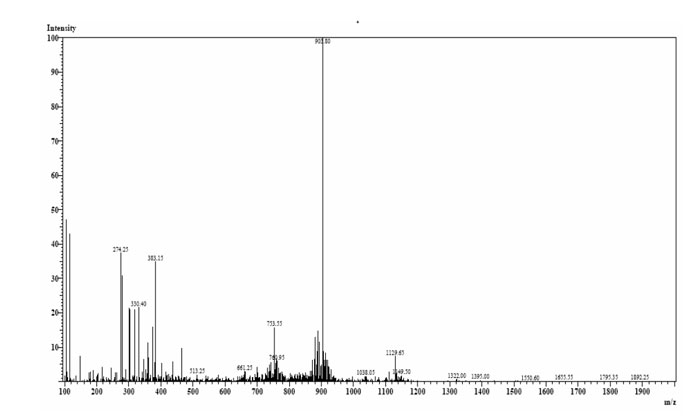 amyloid peptide amyloid peptide