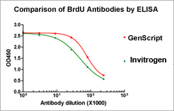 THE™ Elite Antibody THE™ Elite Antibody