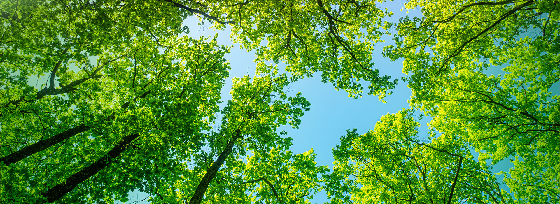 Sustainability