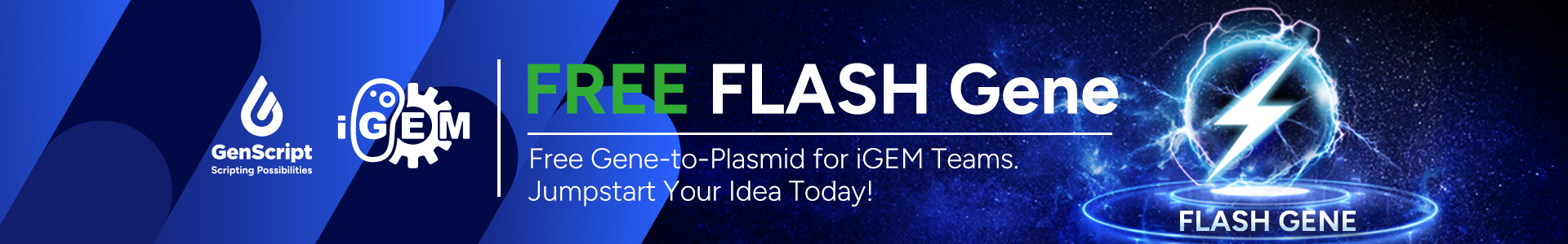 IGEM 2026