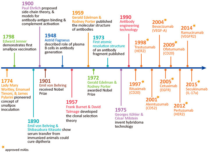 The History of Antibodies
