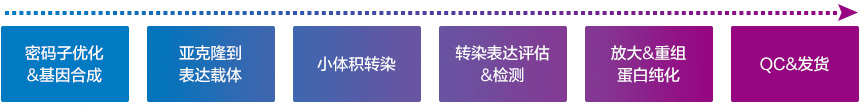 Transient Expression services flowchart Transient Expression services flowchart