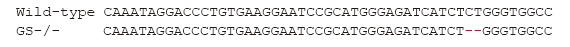 Deletion on GS allele causes frame shift mutation Deletion on GS allele causes frame shift mutation
