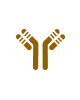 80x100