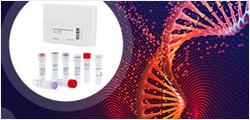 GenCRISPR™ Cas9 Enzymes