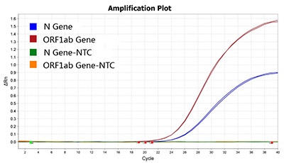 Site-Saturation Mutagenesis