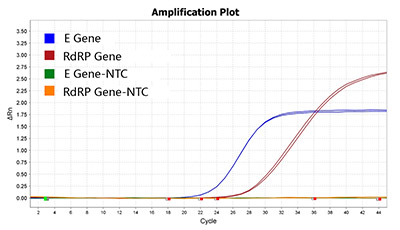 Saturation Scanning Mutagenesis