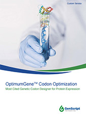 Optimum Gene codon optimization