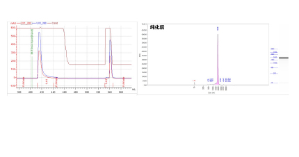 dsRNA Removal