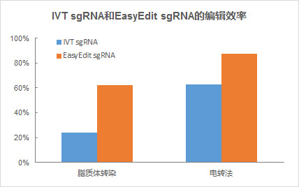 EasyEdit sgRNA编辑效率更高