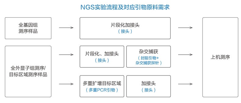 NGS引物