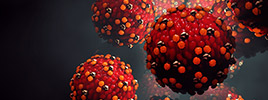 Measles Attack: Ultra-Fast Virus Detection by Peptide Libraries