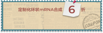 定制化环状mRNA