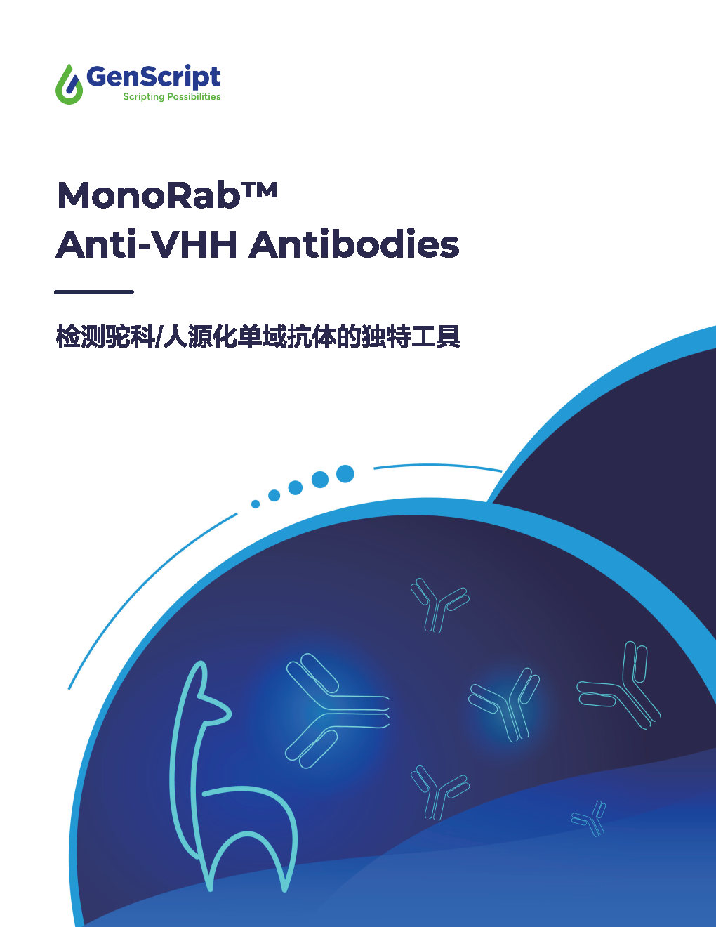 Anti-VHH