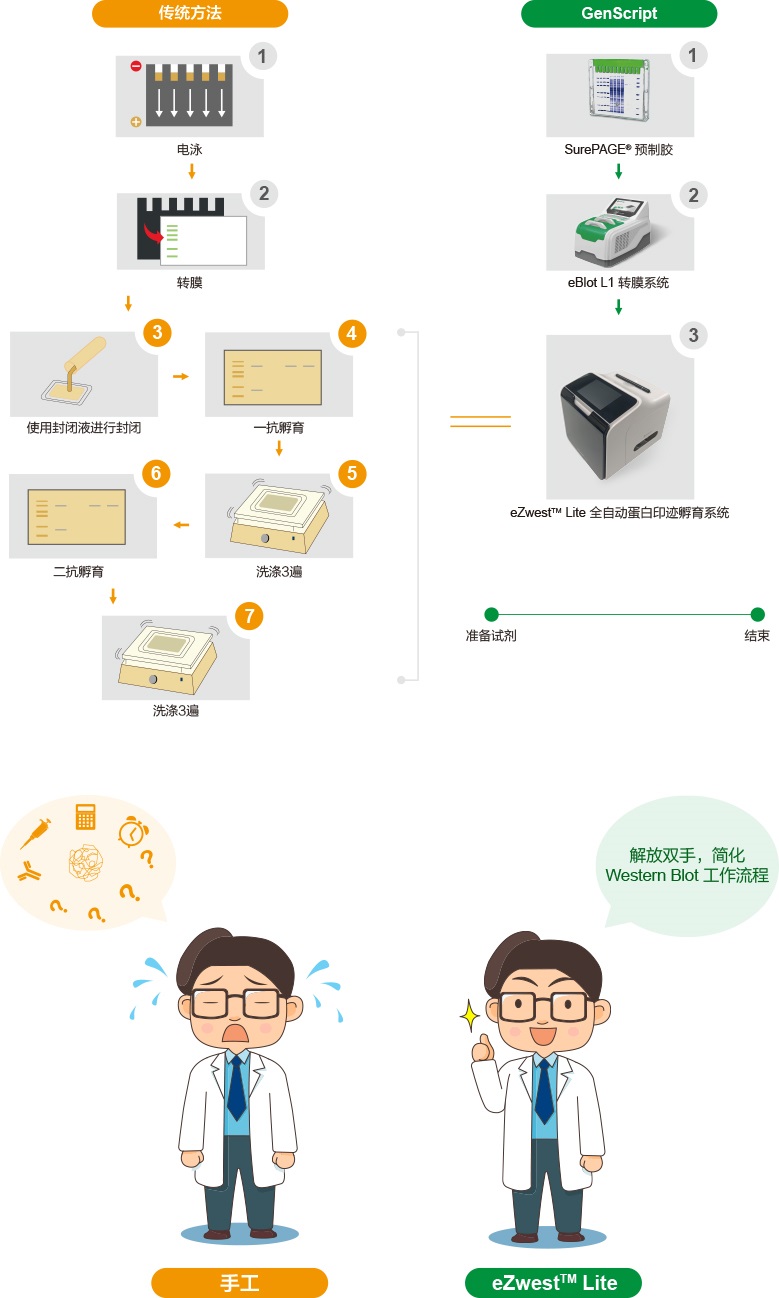 eZwest 和传统方法对比