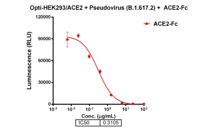ACE2-Fc显著抑制Delta突变株假病毒侵染细胞