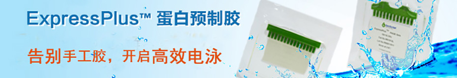 Expressplus聚丙烯酰胺预制胶 金斯瑞生物 Expressplus聚丙烯酰胺预制胶 金斯瑞生物