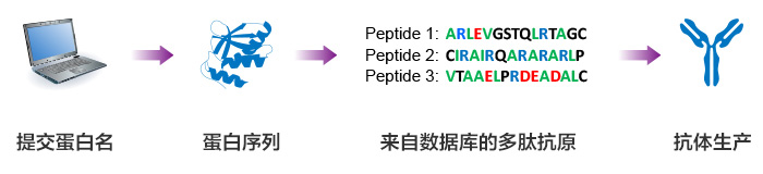 search the peptide antigen sequence