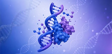 自动化、磁珠化与高通量化工具在抗体药开发中的实践 