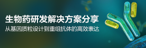 生物药研发解决方案分享-从基因质粒设计到重组抗体的高效表达