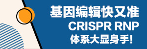 基因编辑快又准，CRISPR RNP体系大显身手！