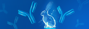 IHC应用兔单克隆抗体开发策略 | 金斯瑞