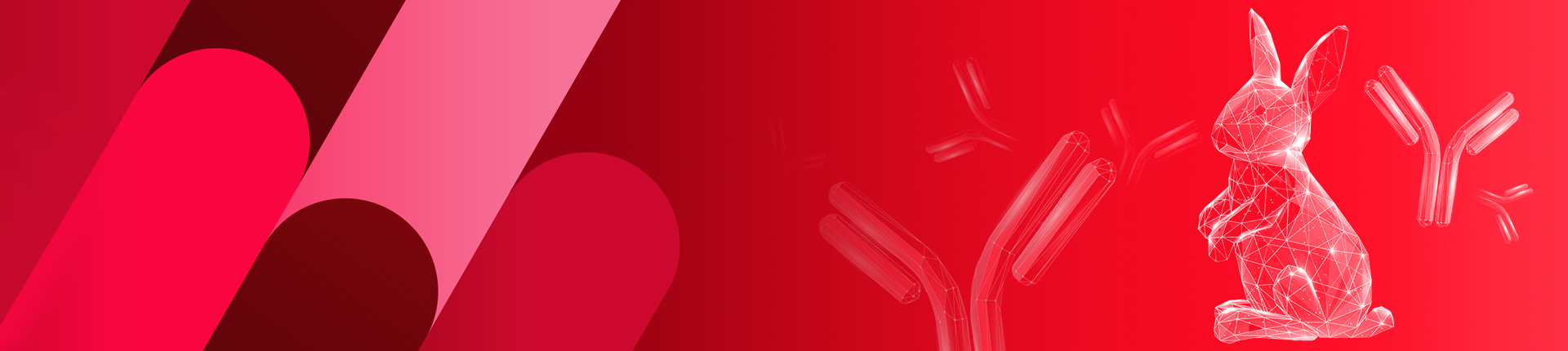 兔单克隆抗体开发服务 兔单克隆抗体开发服务