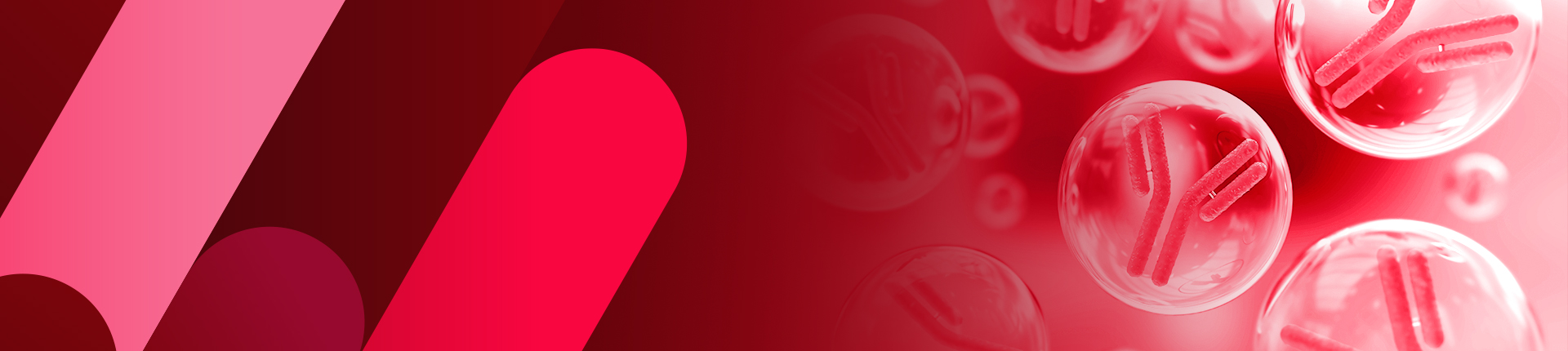 杂交瘤体外转瓶生产服务