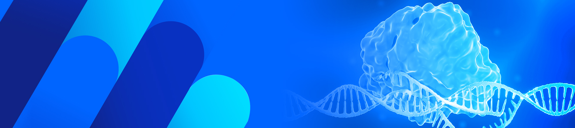 CRISPR Handbook