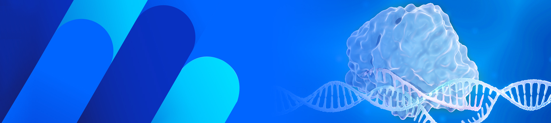 GenCRISPR™/Cas9基因编辑相关产品