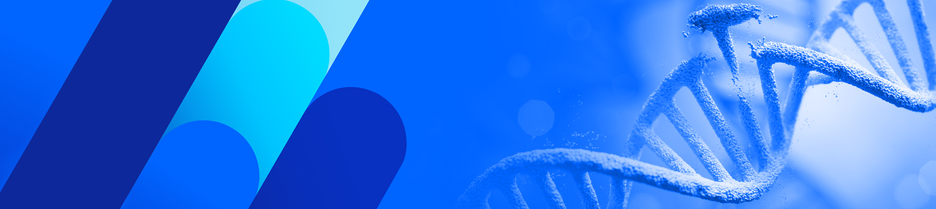 pegRNA（Prime Editing guide RNA）合成服务