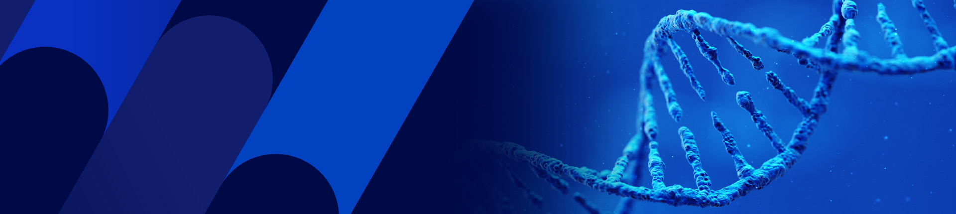 临床前级别的质粒制备服务