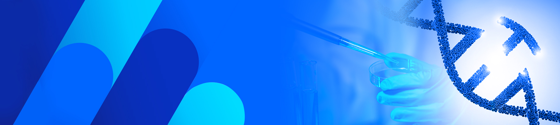 CRISPR gRNA 文库