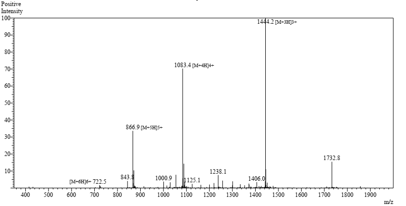 amyloid peptide amyloid peptide